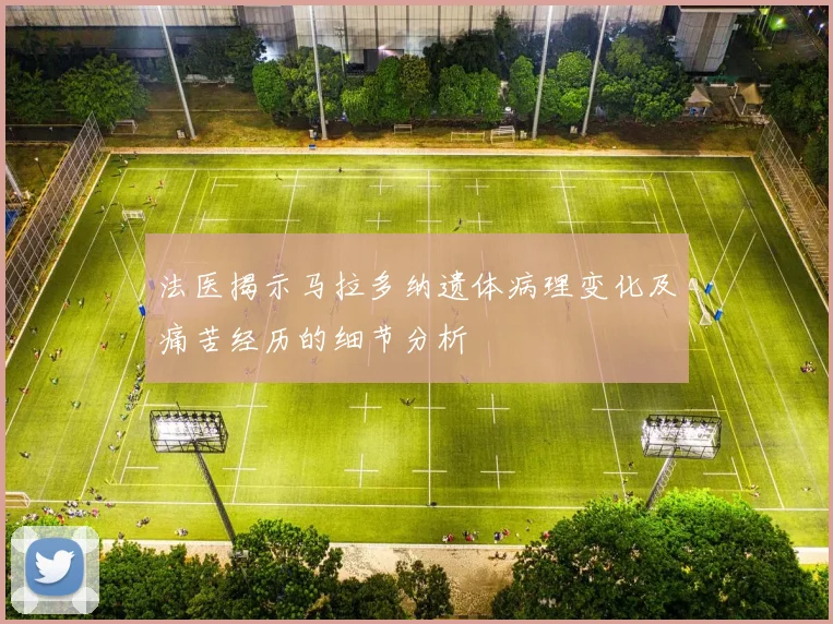 法医揭示马拉多纳遗体病理变化及痛苦经历的细节分析